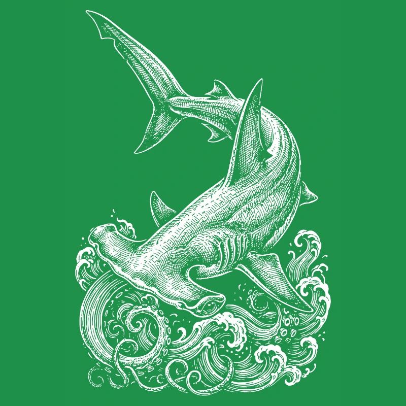 Conception du requin-marteau