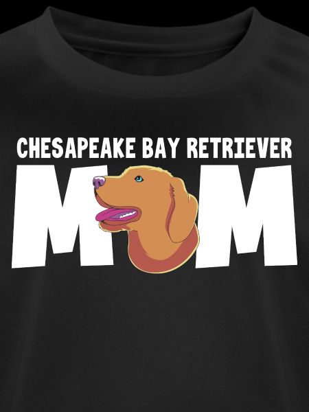 Chesapeake Bay Retriever