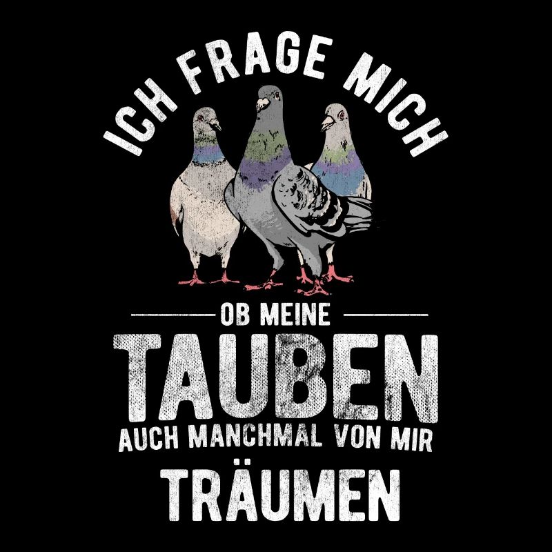 Taube Tauben Vogel