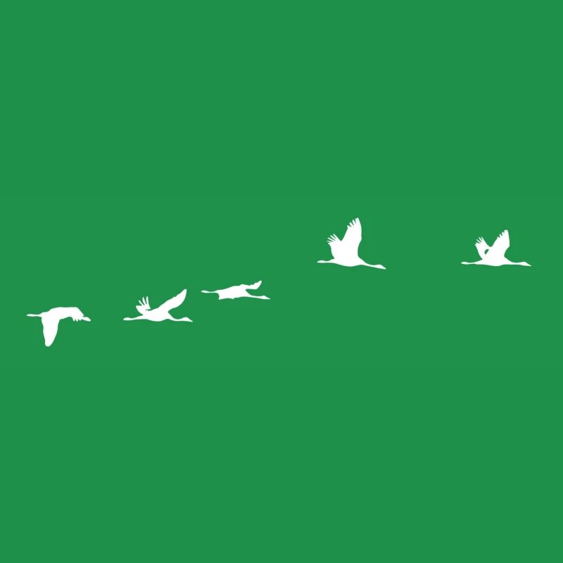 Oiseaux migrateurs blanc grue