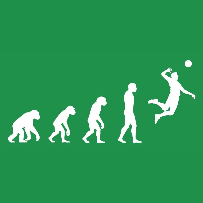 Evolution Volleyball