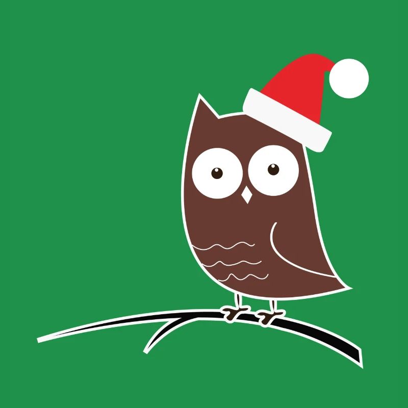 Die Weihnachts-Eule! Geschenk Idee