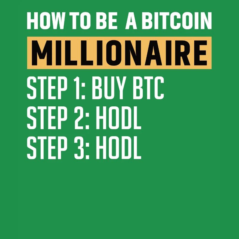 Bitcoin Plan B BTC Satoshi Krypto Hodl Maximalist