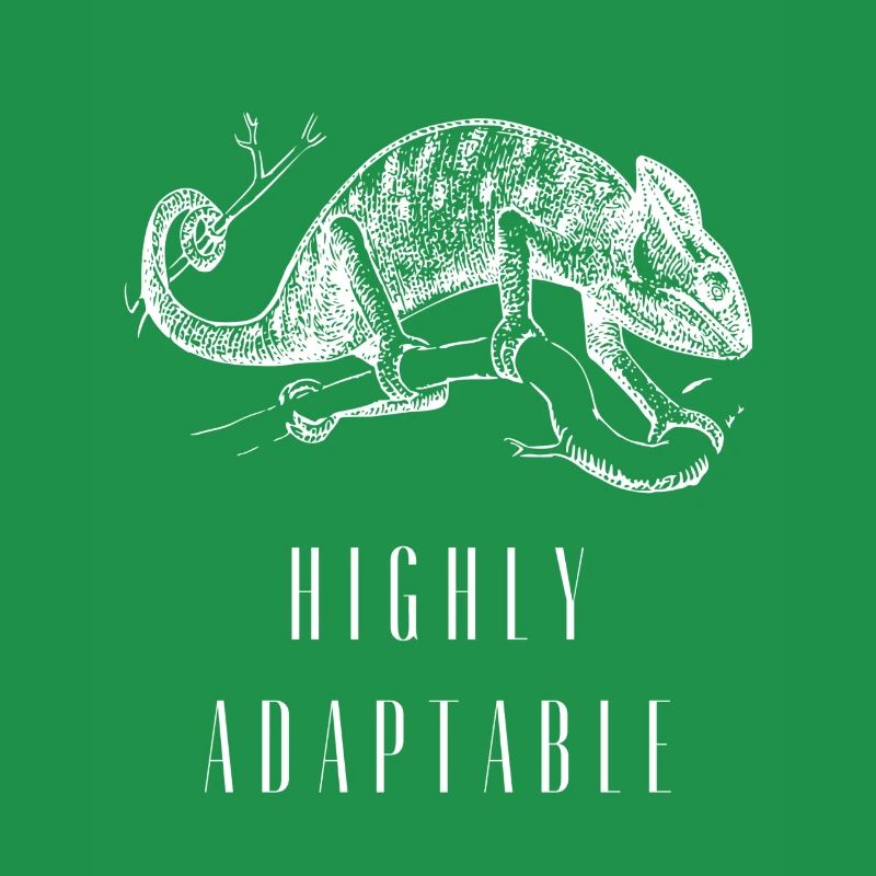 Chameleon Adaptiveness Adjustability Techno Music