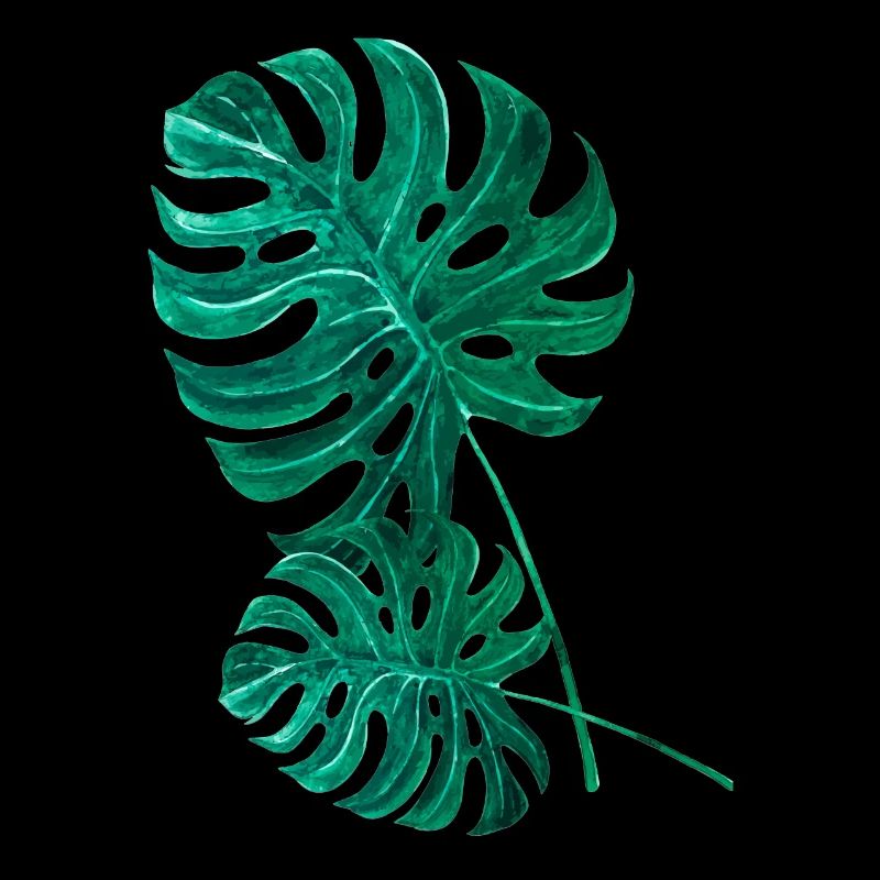 Monstera palm leaf