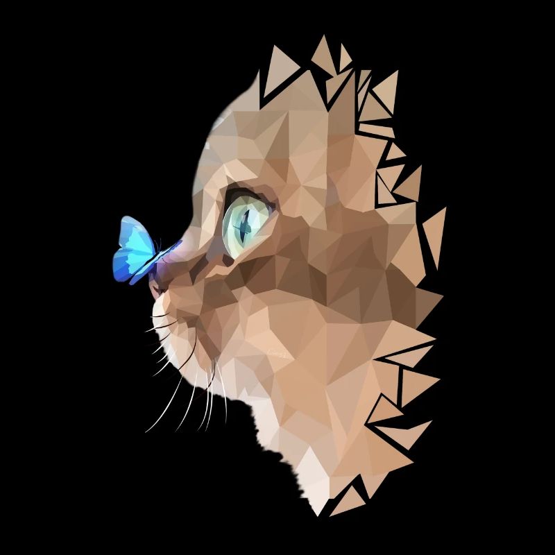 Cat and butterfly