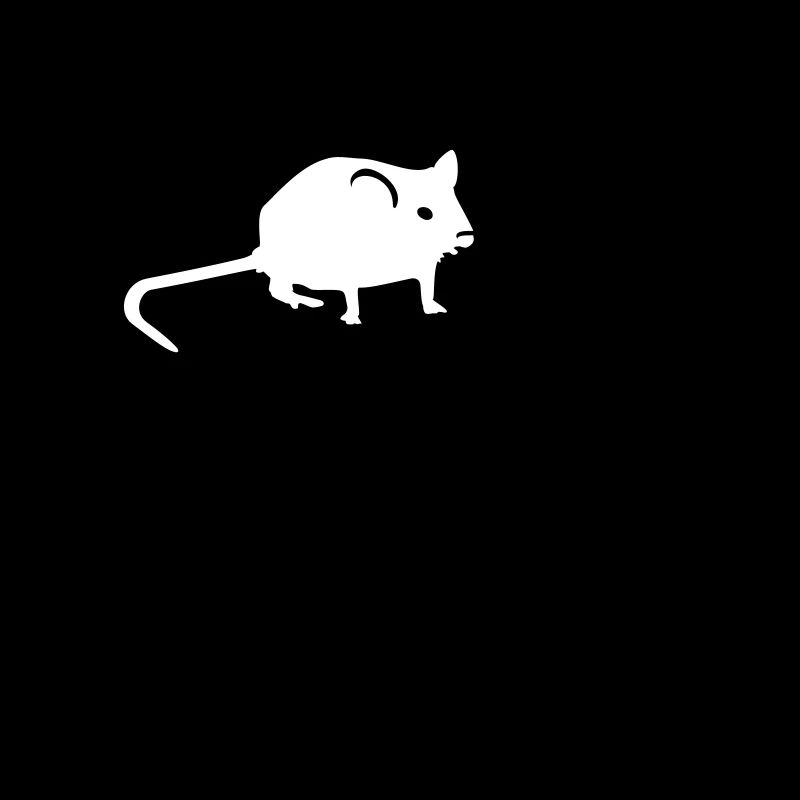6 Ratten / 6 rats (1c)