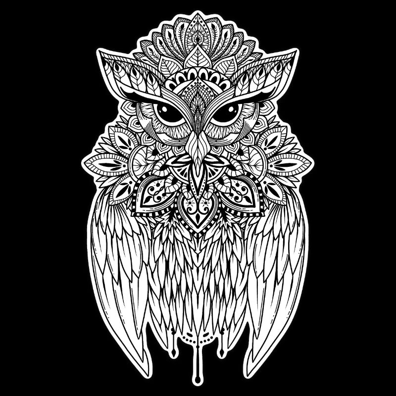 Owl the Guardian