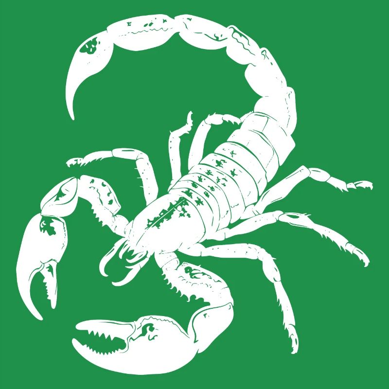 Scorpio, animal, gift