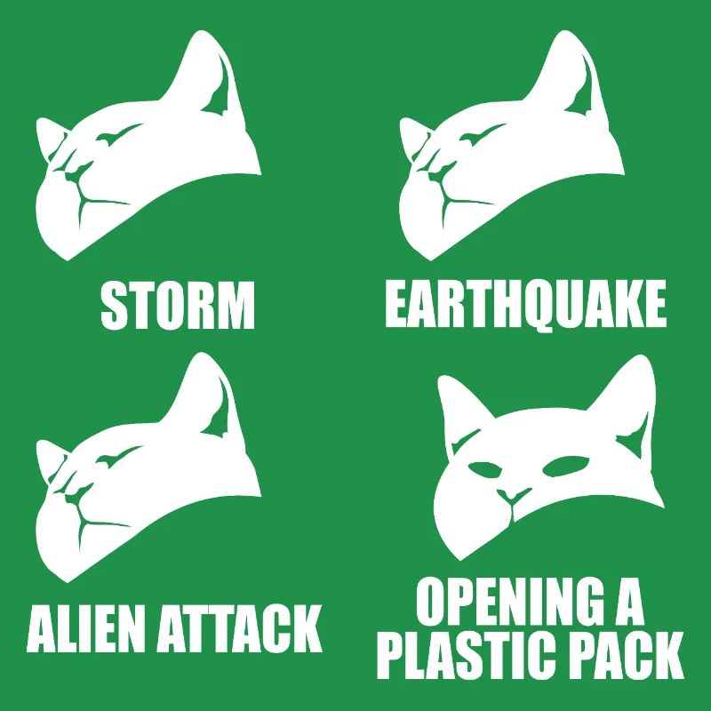 Cat - selective perception - saying