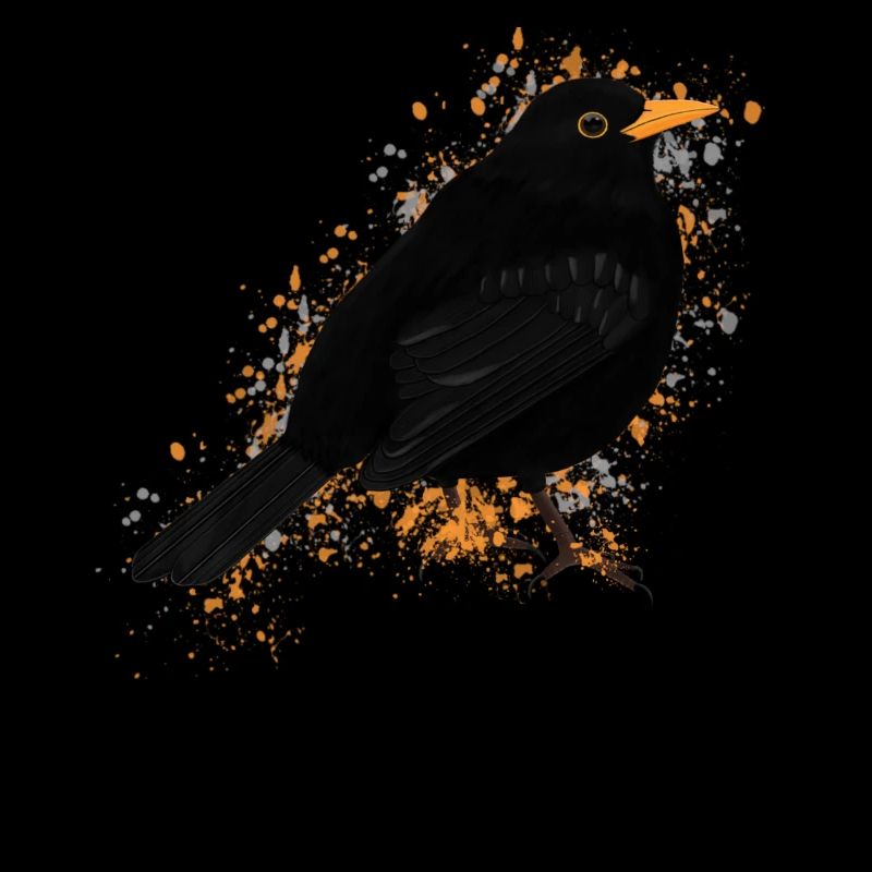 Blackbird Bird Bird Lover Birdwatcher