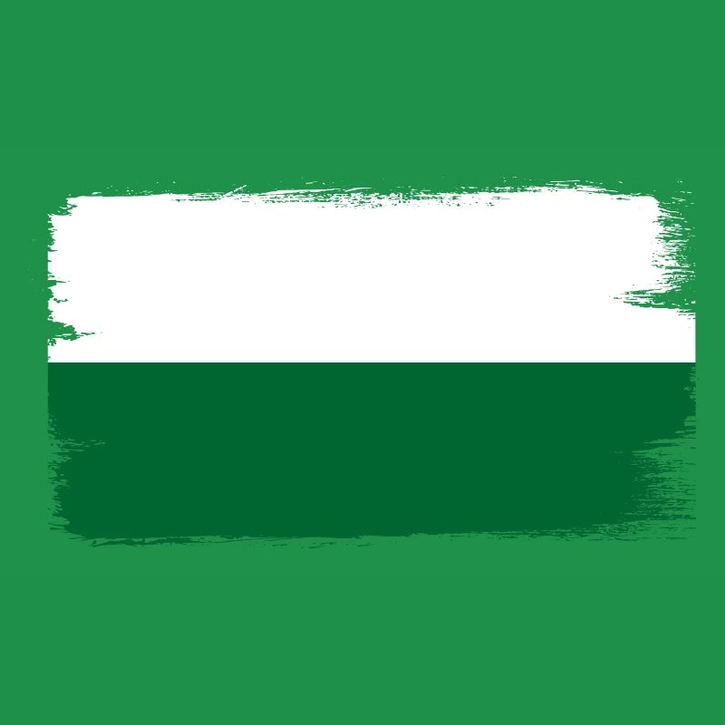 Drapeau de Saxe Drapeau saxon Ossi Holiday SN