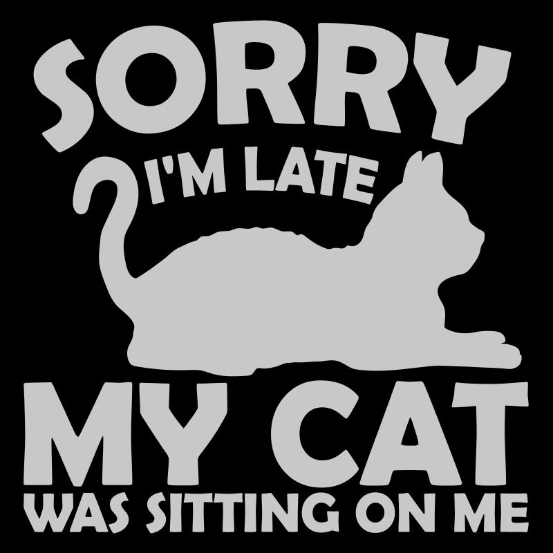 sorry cat was sitting