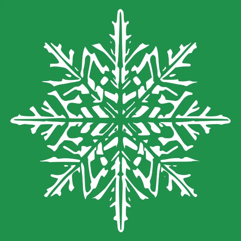 Snowflake Snow Winter Christmas Cold 3