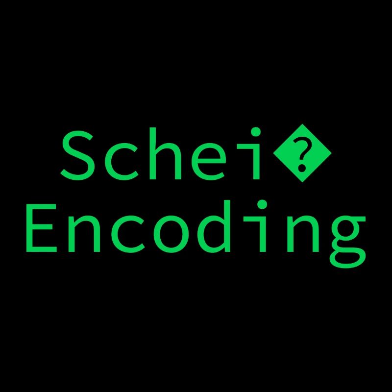 Schei encoding Programming Informatik Geschenk