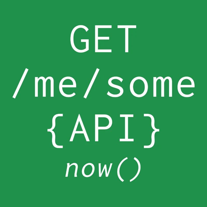 Api Programming Informatic Geschenk Spruch