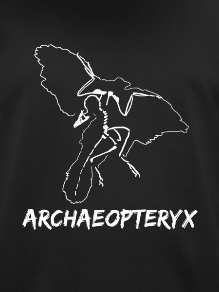 archaeopteryx mit federn