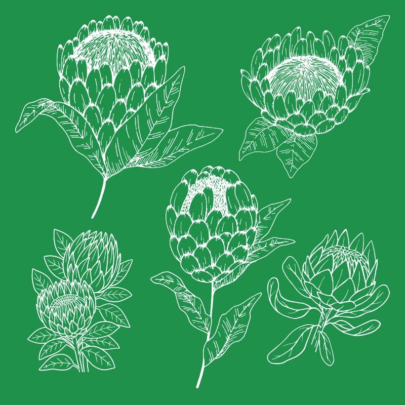 Groupe de fleurs protea