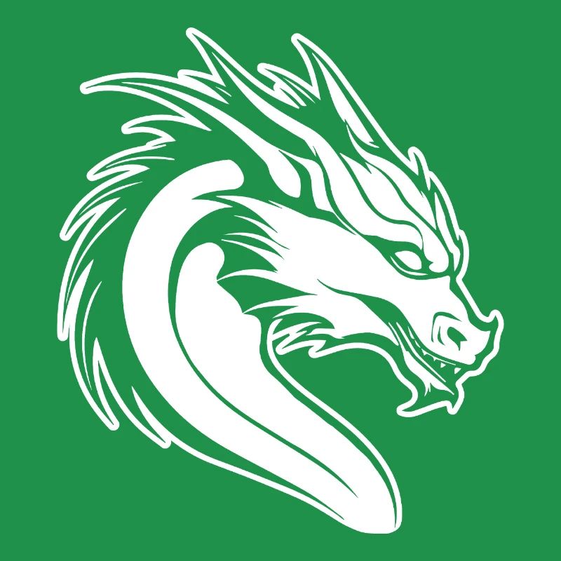 Dragon Dragon Fantasy Mitologia