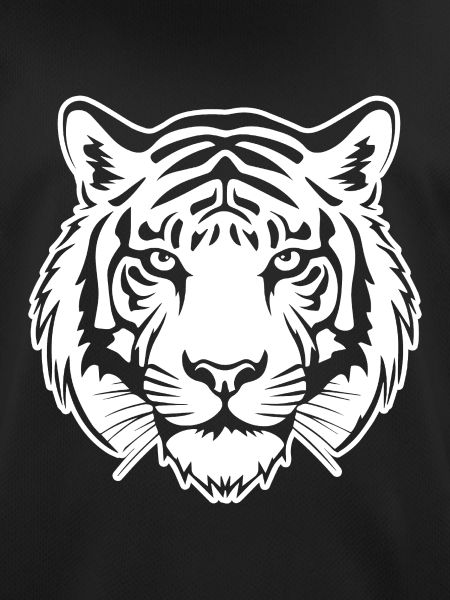 Tiger Big Cat