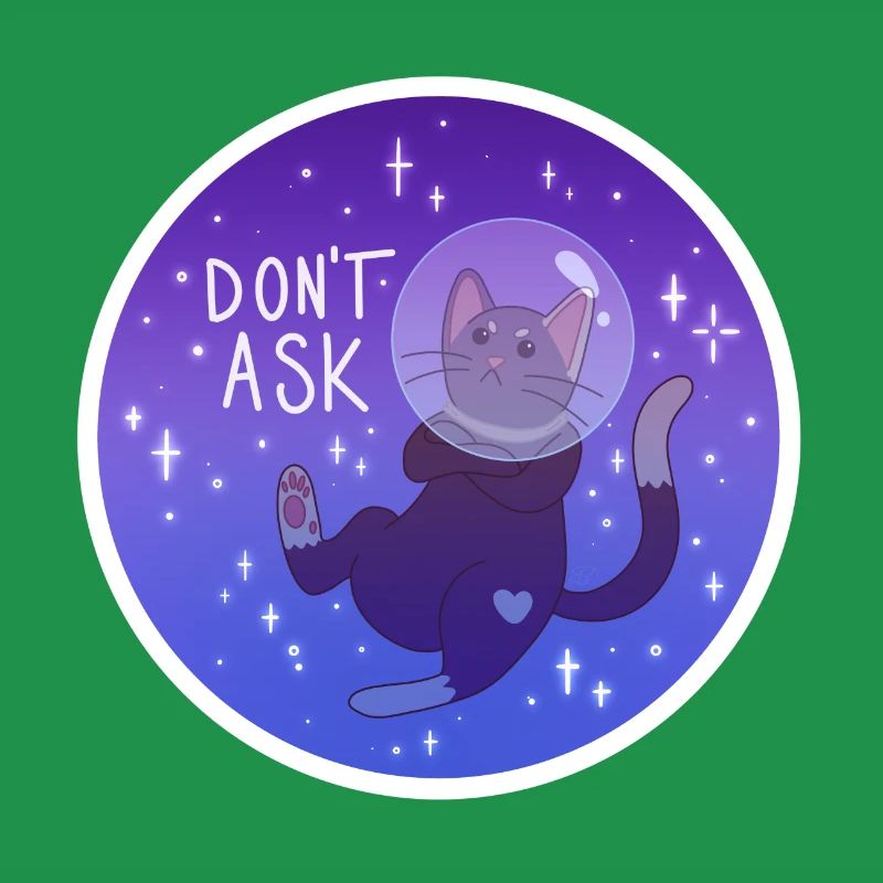 Kitty dans l’espace