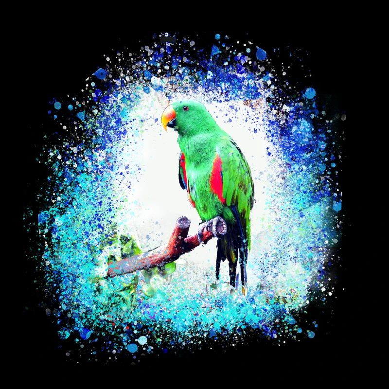 sittich ara,,bird,graffiti,mint,blue,brush,spray