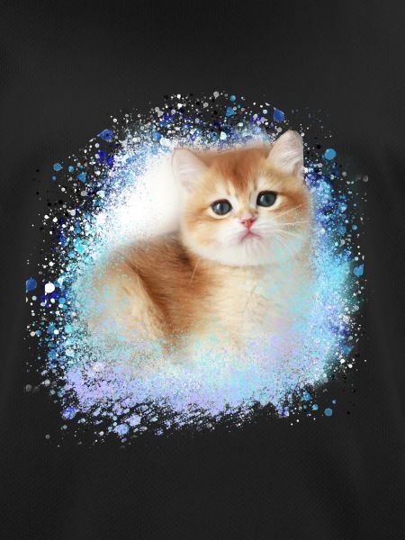 kitten,cat,kitten,graffiti,painting