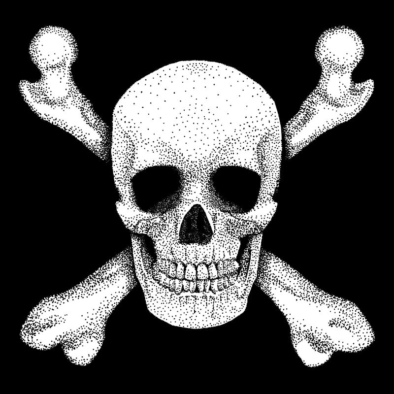 Jolly Roger Pirate Skull