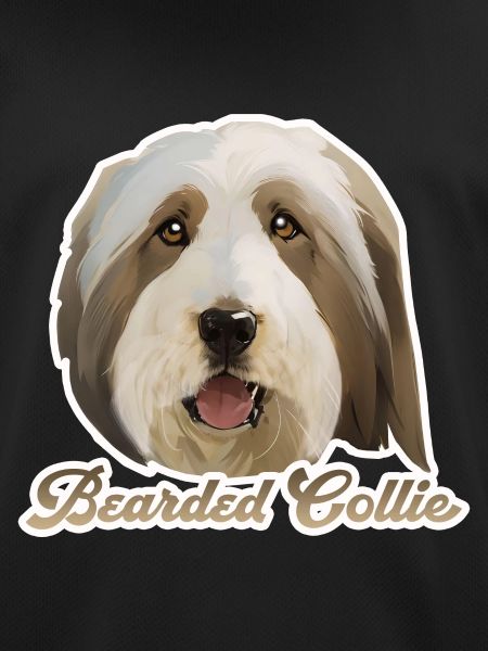 Bearded Collie