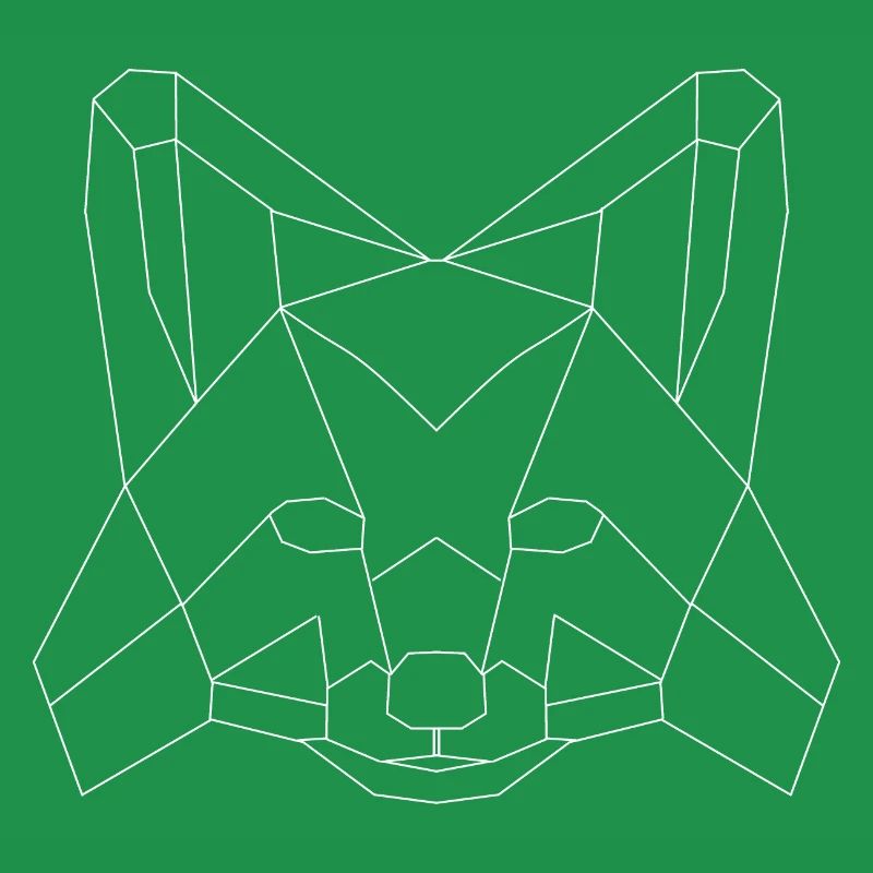 Fuchs polygons white