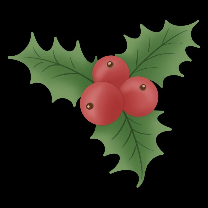 Gui de Noël aux baies rouges