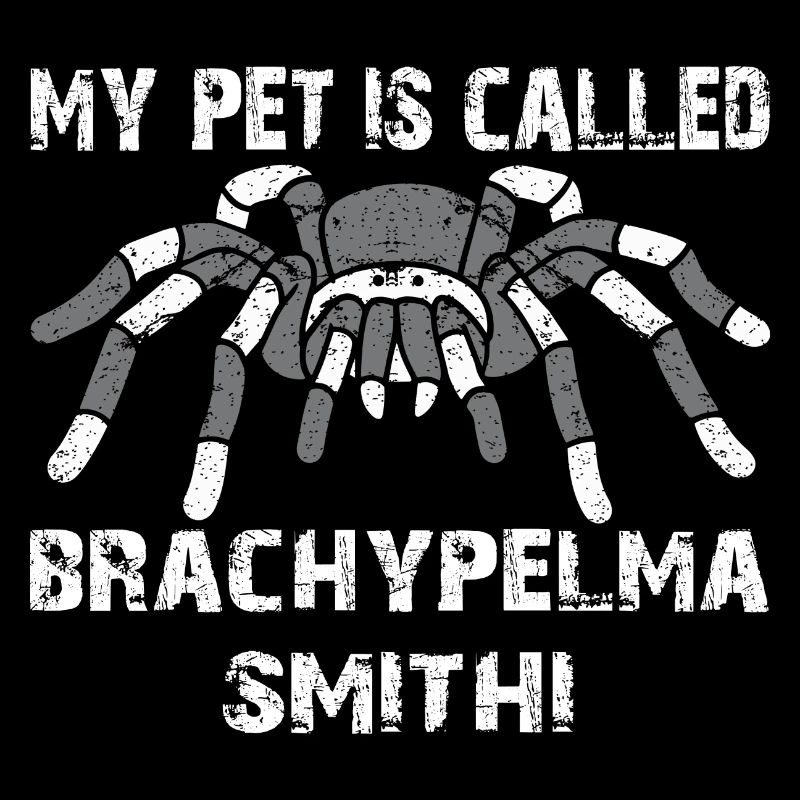 My pet's name is Brachypelma Smithi
