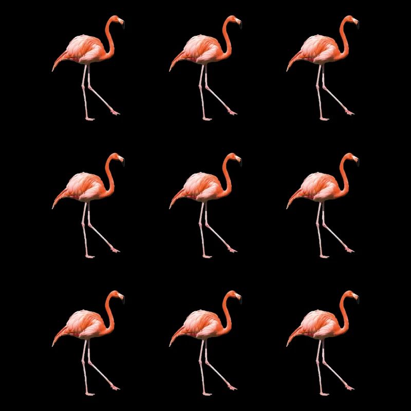 Flamingo parade