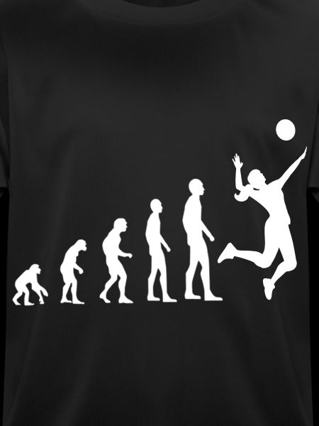 Volleyball Evolution