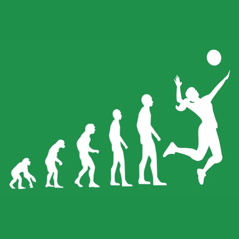 Volley-ball Evolution