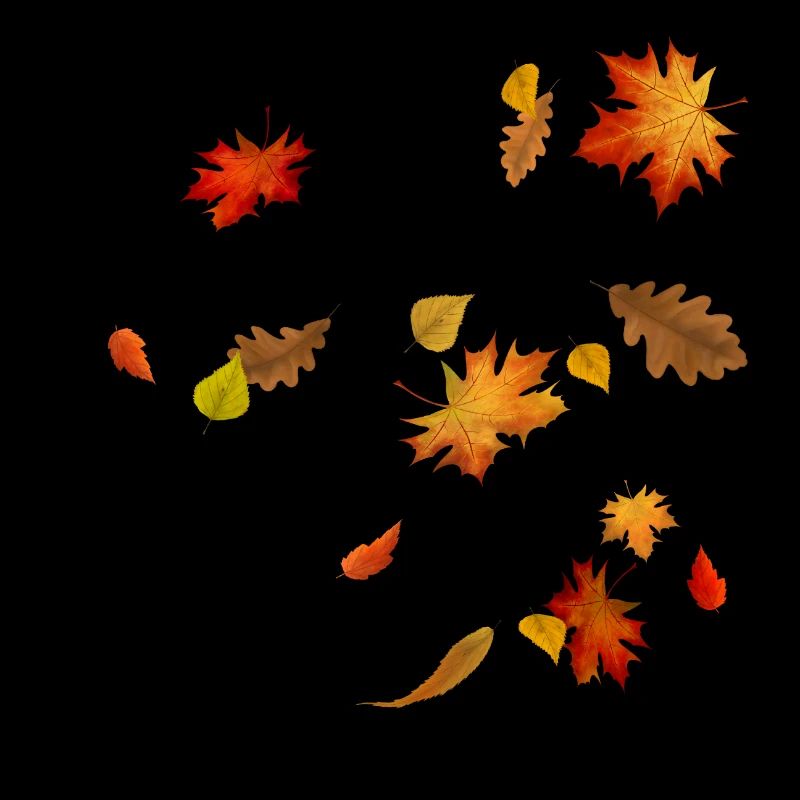 Wunderschöne Herbst Blätter