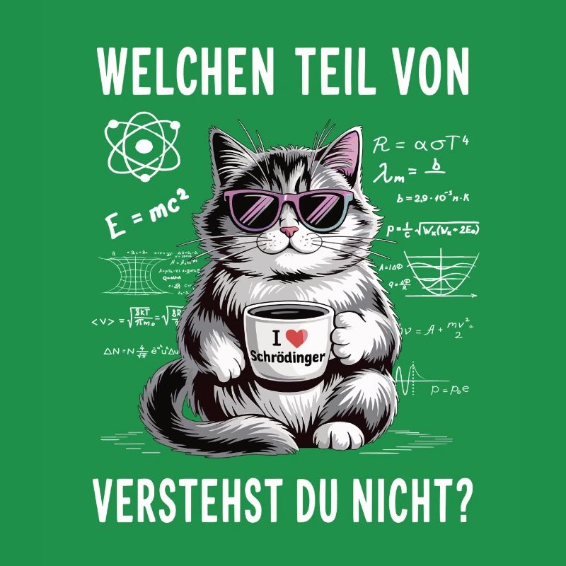 Welchen Teil von Quanten Physik vestehst du nicht