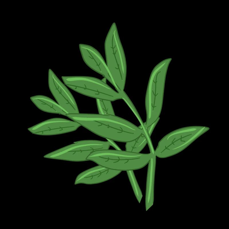 leaves plant spring natural plant leaf