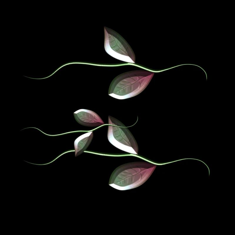 plant symbol plant leaves leaf