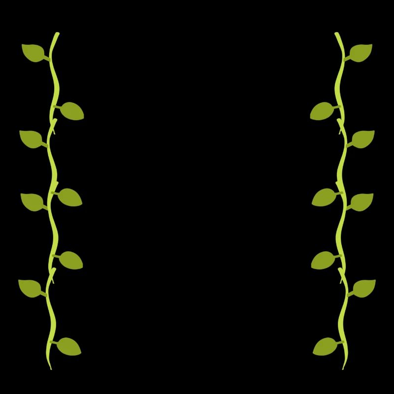 Feuilles Ligne Nature Branches de feuilles