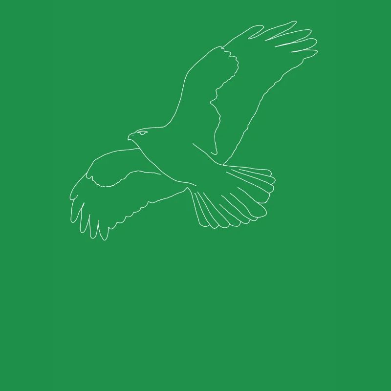 Buzzard