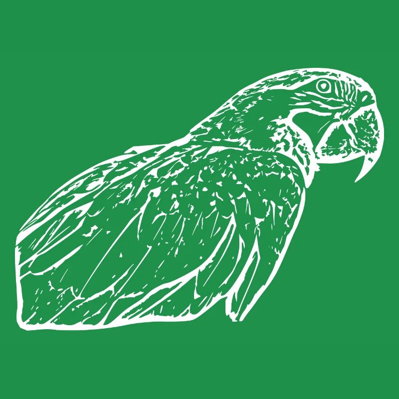 Parrots Bird White