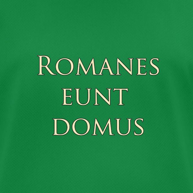 Romanes eunt domus