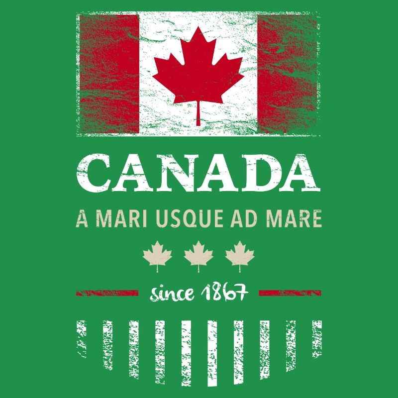 Drapeau du Canada Drapeau de la feuille d’érable de l’Amérique du Nord