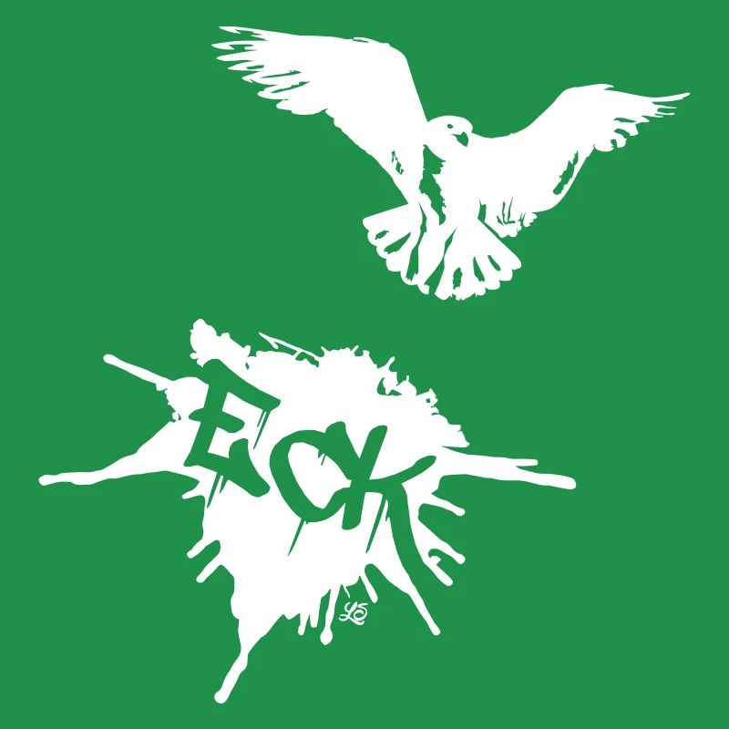Möwe und Eckernförde