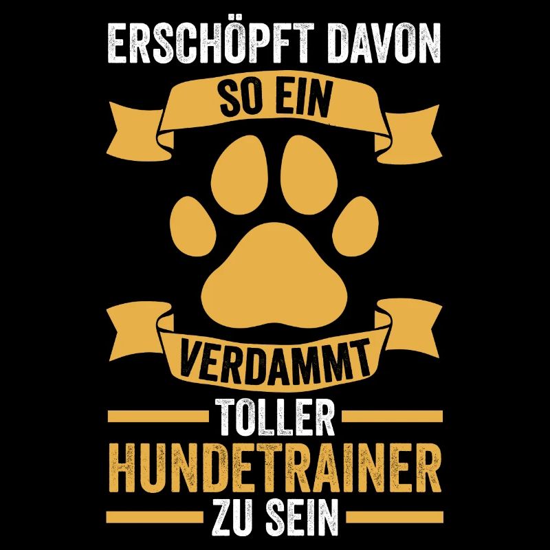 Hundetraining Hund Hundeschule Hundetrainer