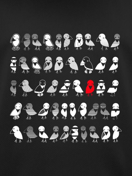 Birds Ravens