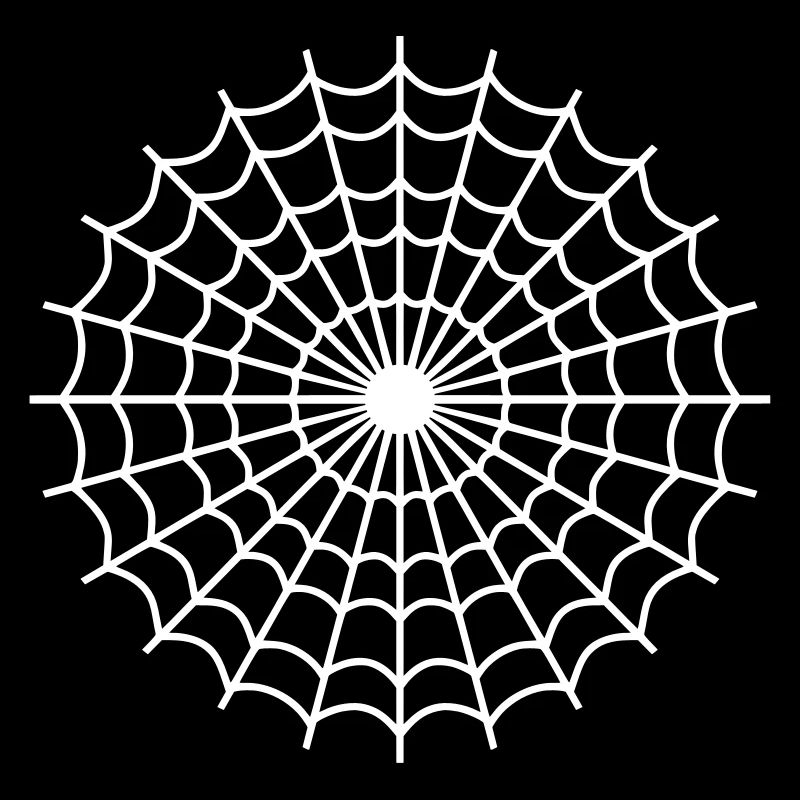 Spinne