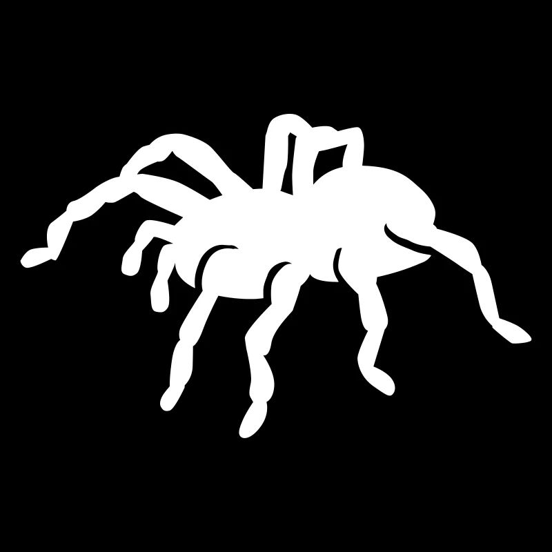 Araignée