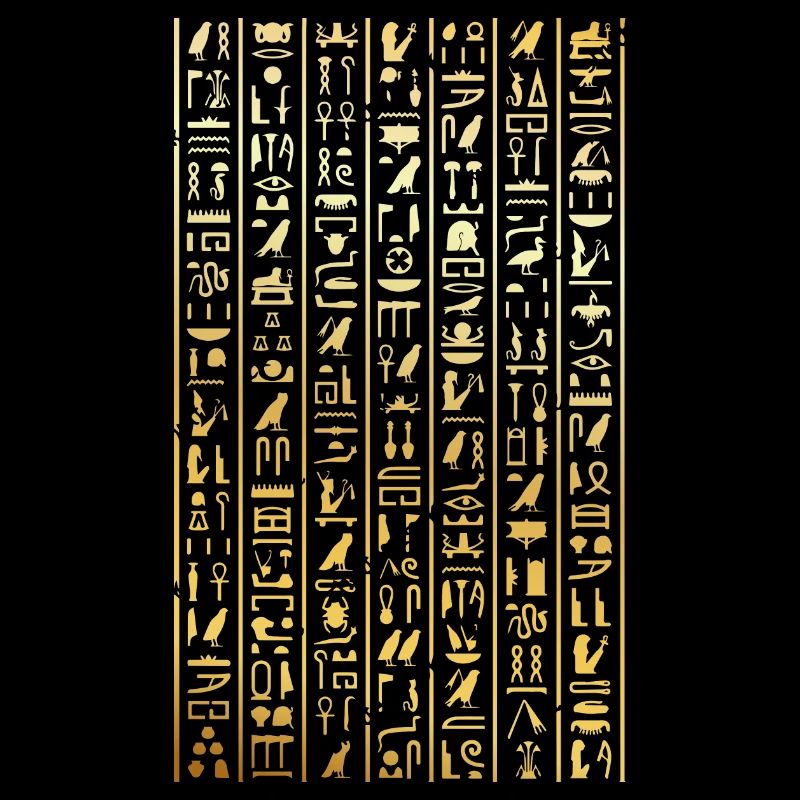 hieroglyphics Design for an old egypt enthusiast